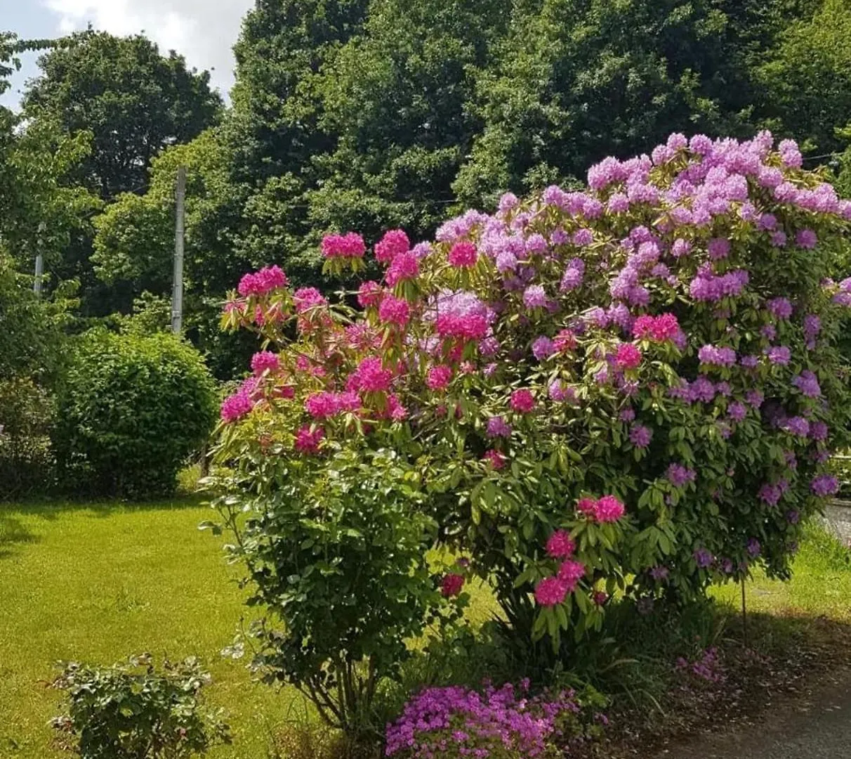 Holiday home Maison De Charme A Quebriac Avec Jardin Cloture
