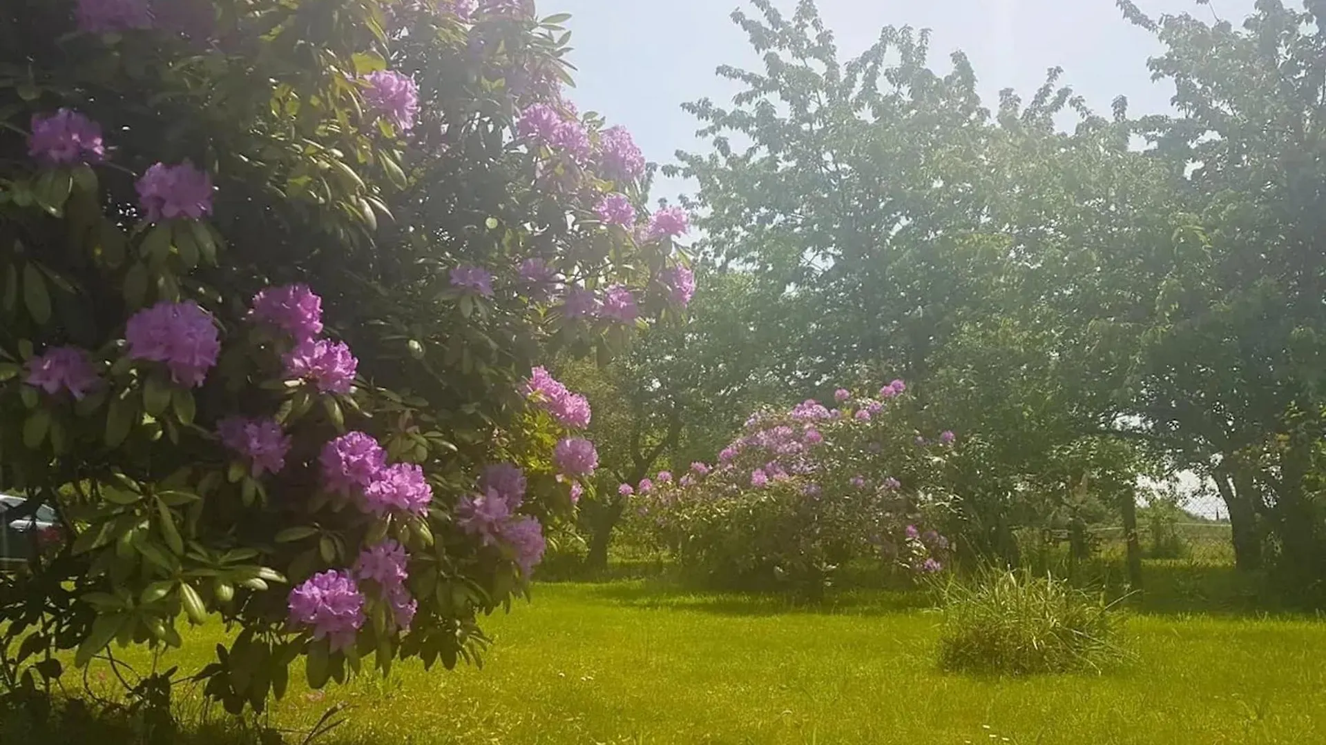 Holiday home Maison De Charme A Quebriac Avec Jardin Cloture